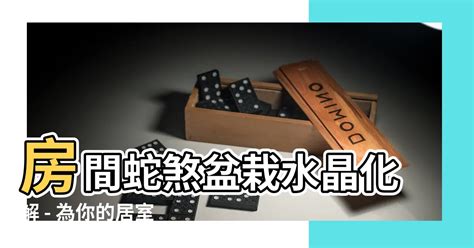 蛇煞化解|【房間蛇煞化解】破解房間蛇煞！風水大師教你化解厄運招好運 –。